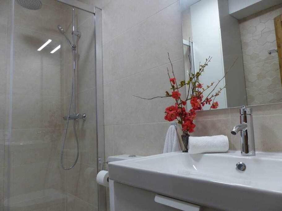 Apartamento Abside De San Juan II Estella Kültér fotó